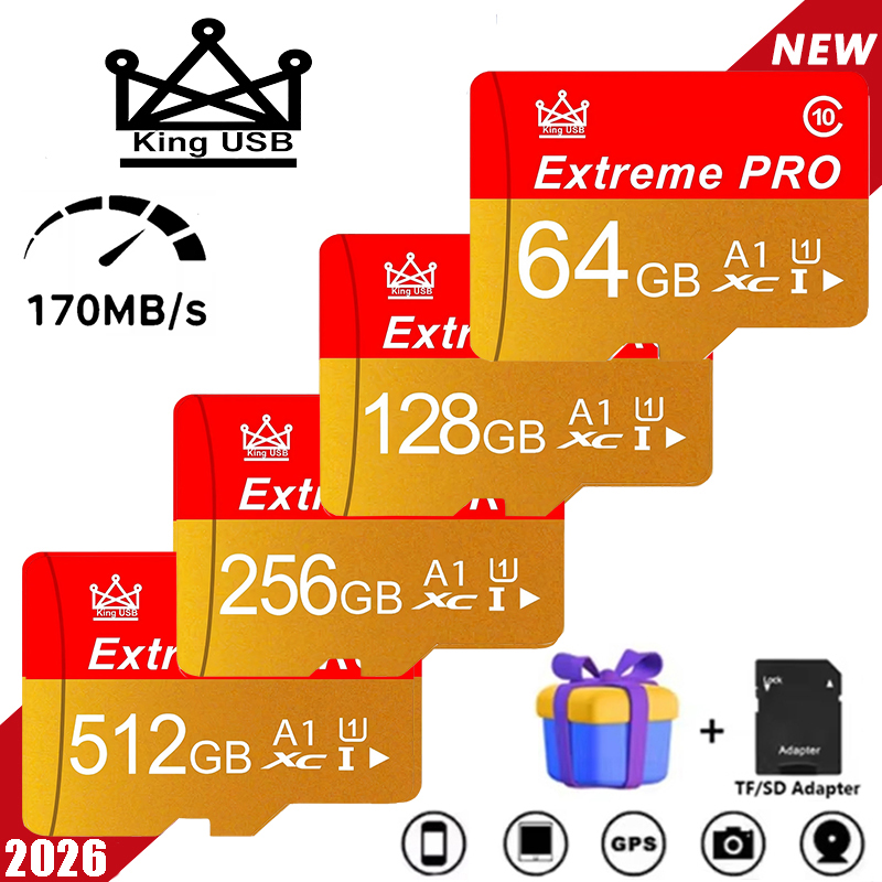 Tarjeta de Memoria Mini SD de  - Tablet Accessories For Reading reseña y precio